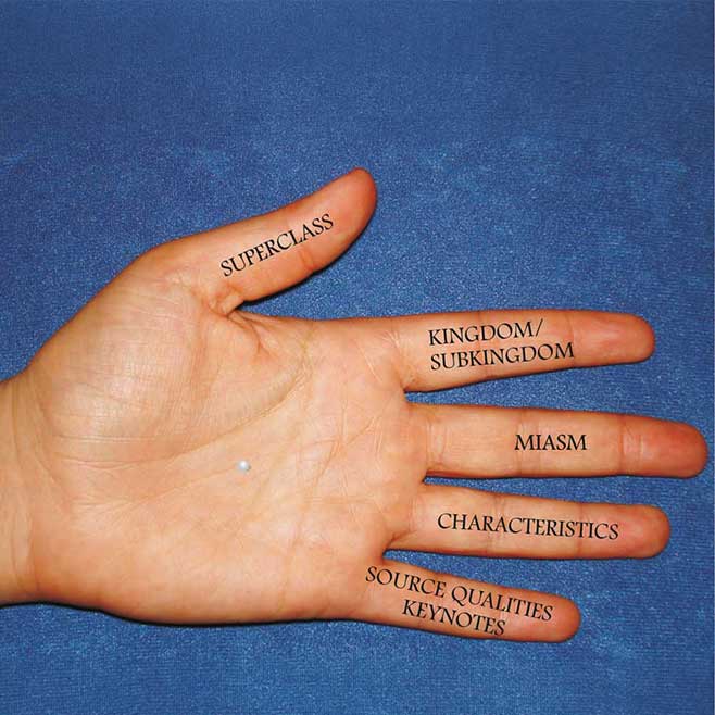 5-fingers method
