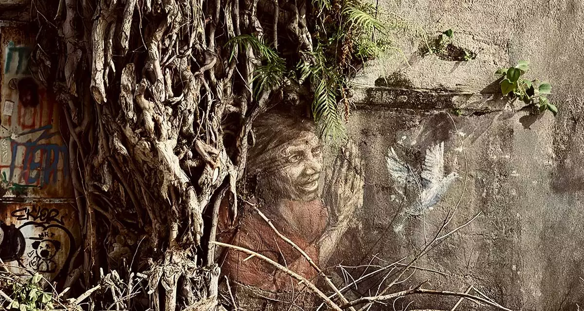 Wandbild „Friedenstaube“ von Tomas Robertson