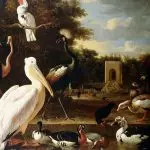 Vogelarten Melchior de Hondeco