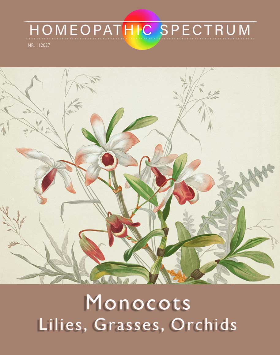 Lilie, Grasses, Orchids